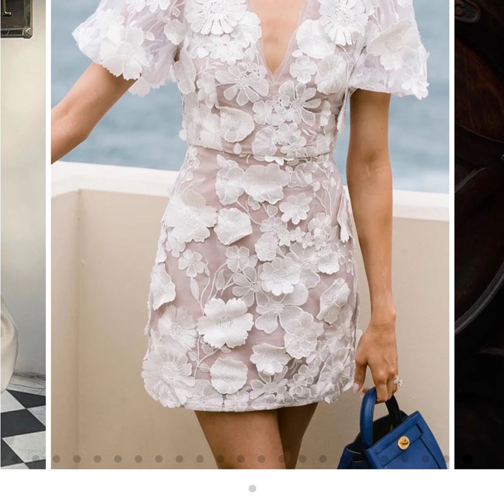 Garden Gala Embroidered Floral Appliqué Puff Sleeve Mini Dress